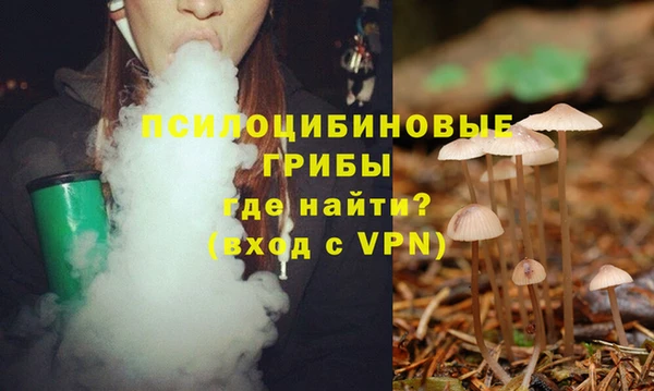 прущие крисы Алексеевка