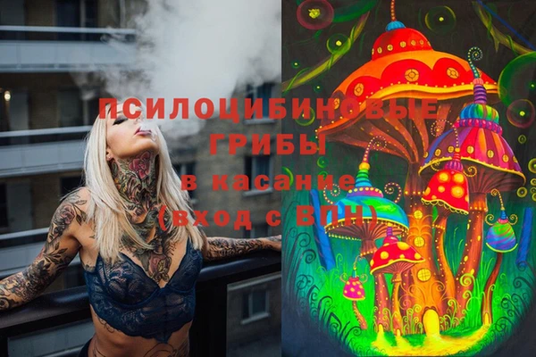 прущие крисы Алексеевка